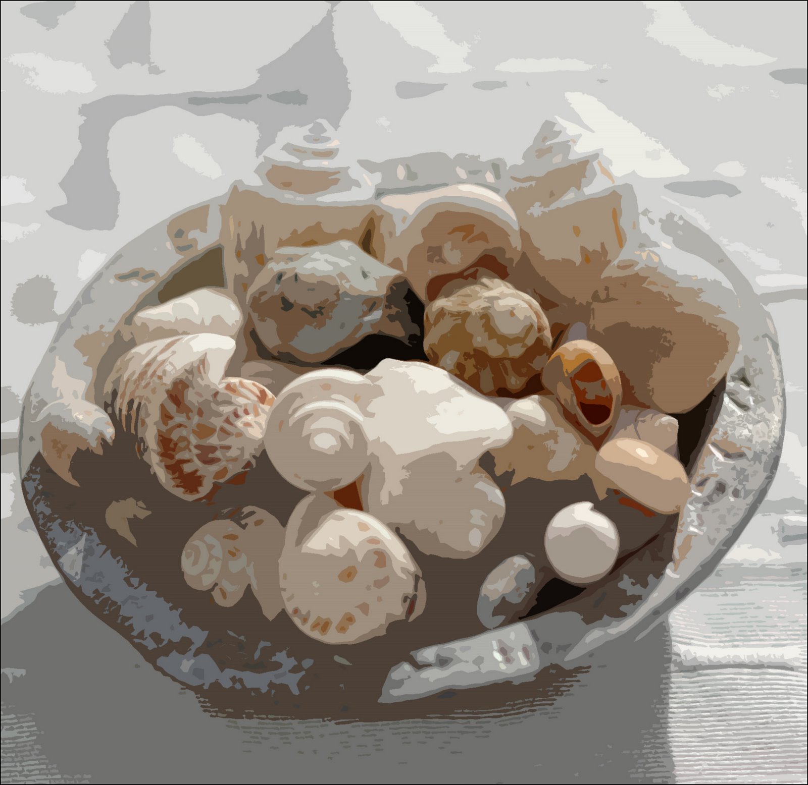[Shells.jpg]