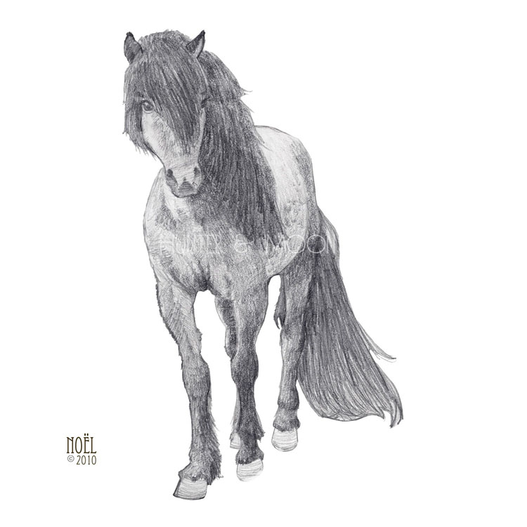 Hunter and Moon: Pony Sketch