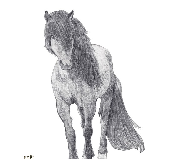 Hunter and Moon: Pony Sketch