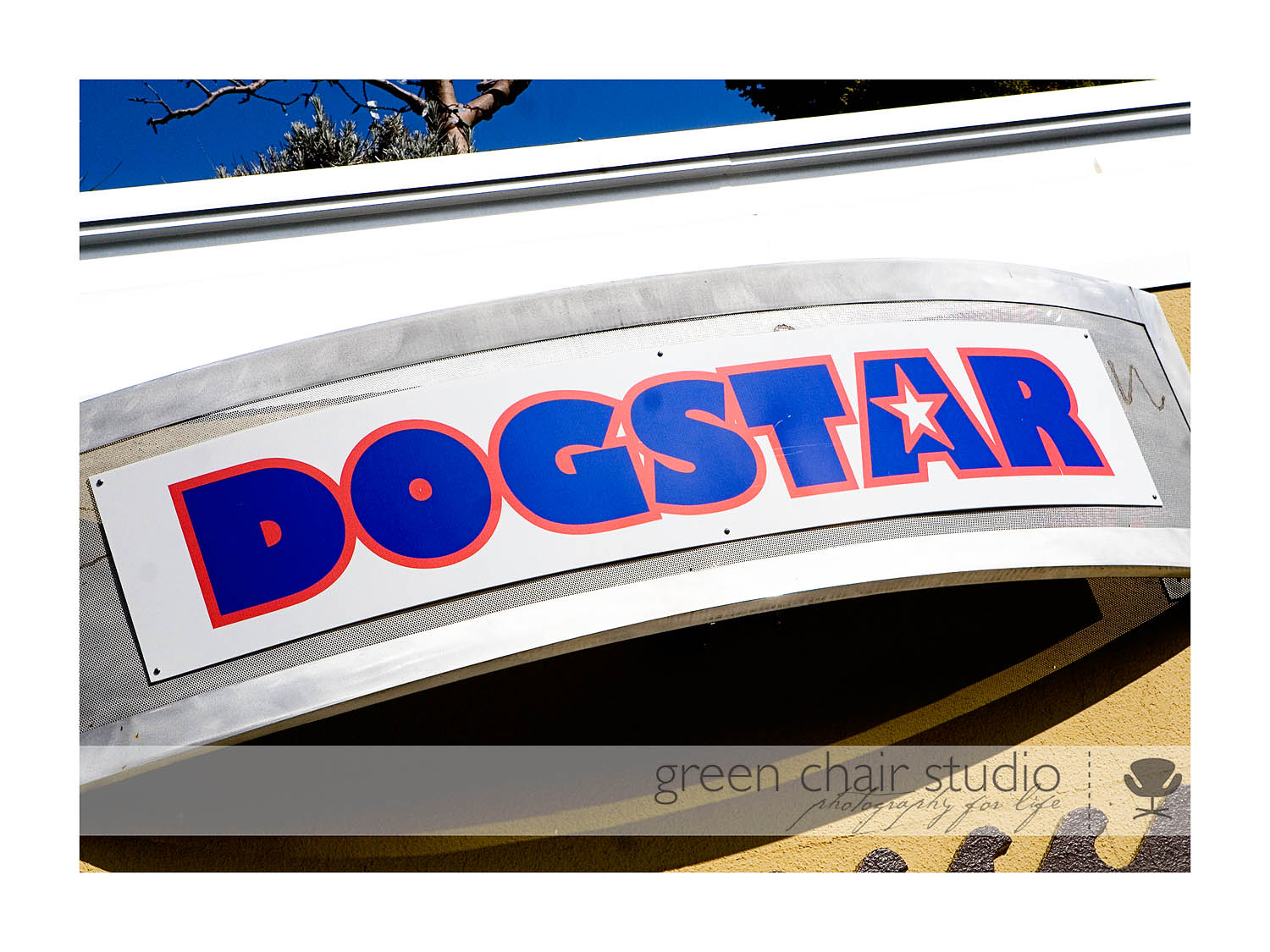 [dogstar_logo.jpg]