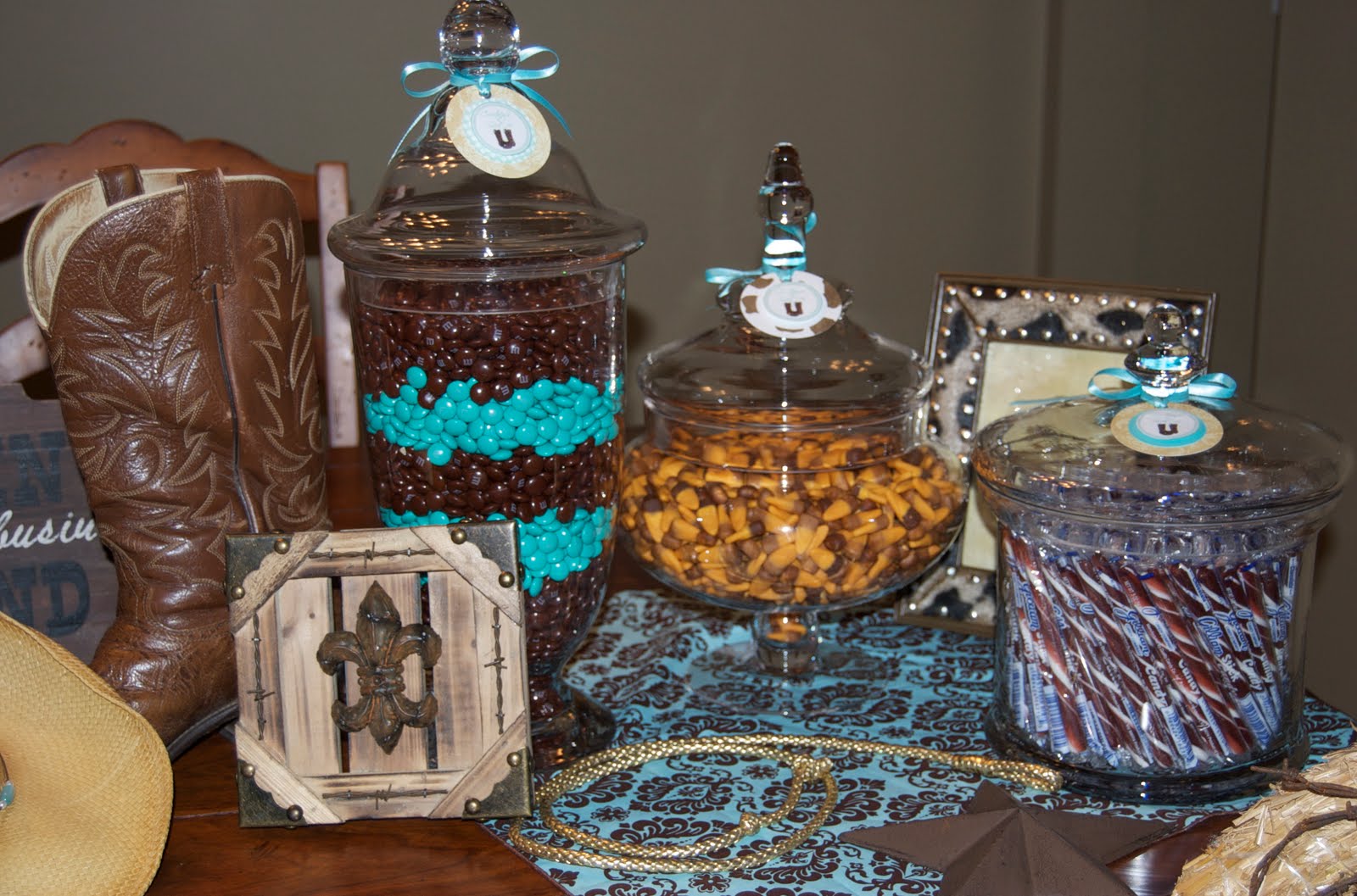 Capture Our Lives: Sweet 16 Country Western Party