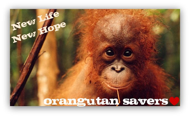 Save Orangutan