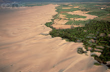 Campos de cultivo en el desierto lima