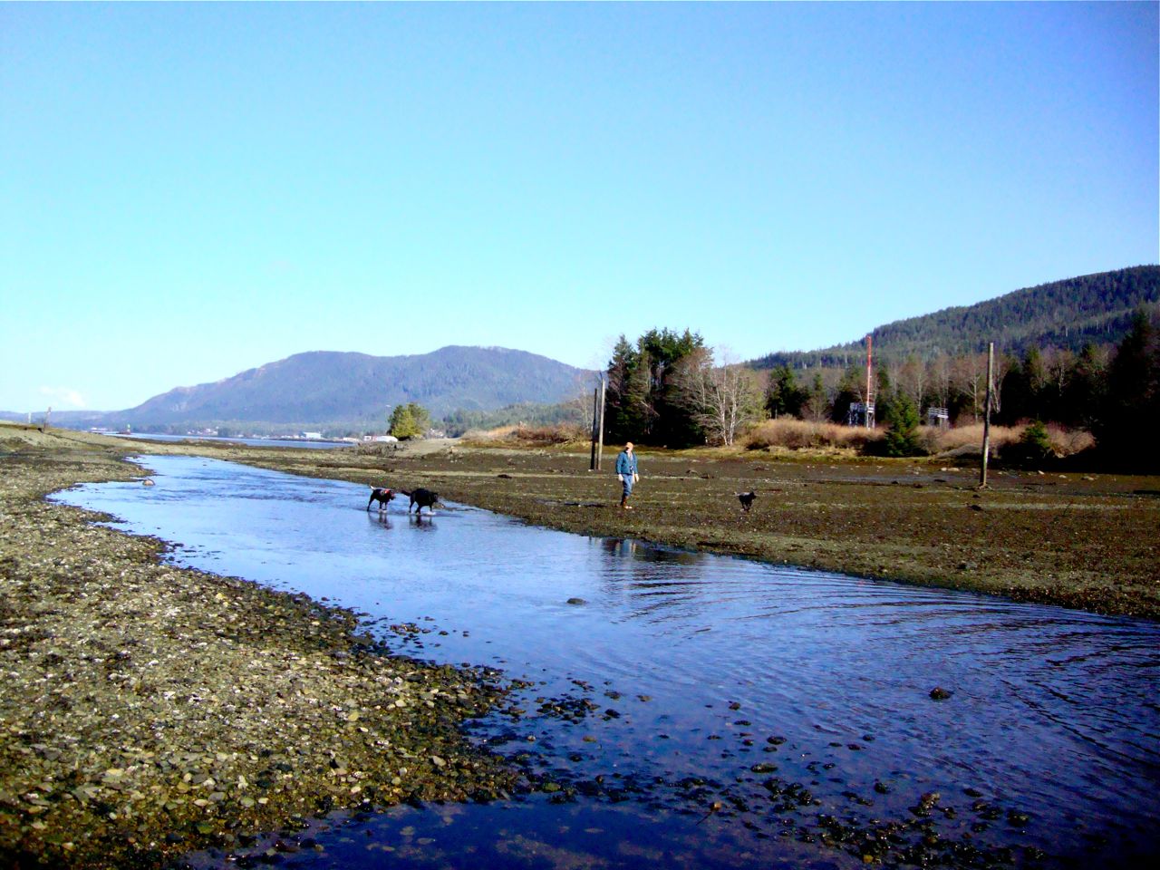 Seagem Lofts Gravina Island Hike
