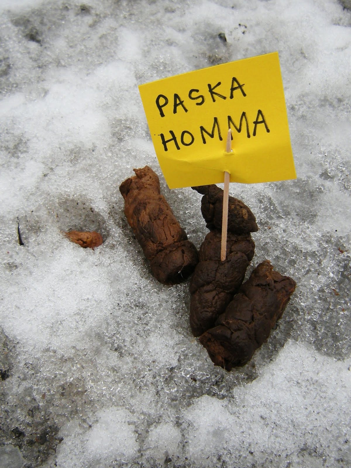 nothing-is-worth-more-than-this-day-kakkaa-lumella