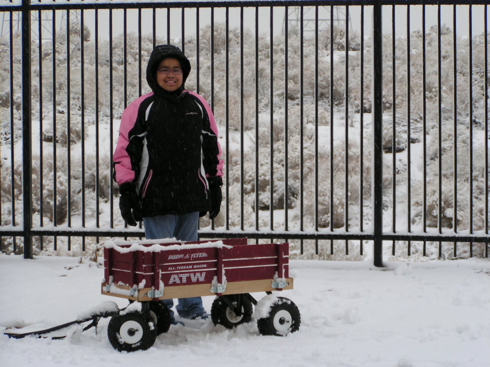 [12-17-08+Snow+021.JPG]