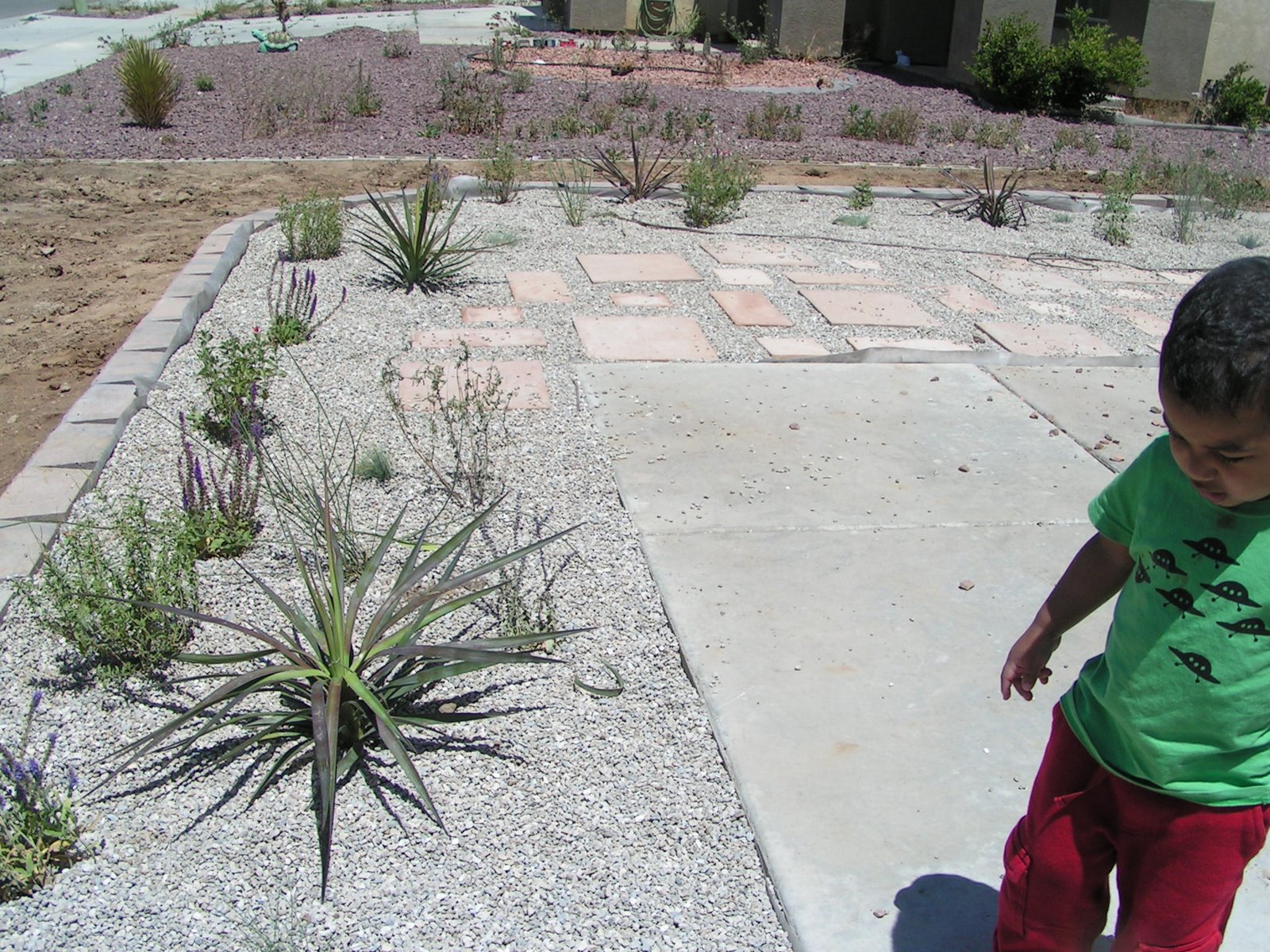 [5-11-09+Front+Yard+in+Progress+003.JPG]