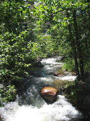 Rocky Mountain run off