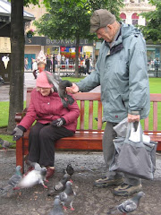 Feeding the pigeons