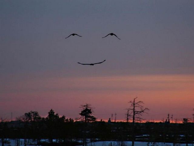Sorriso de Deus!