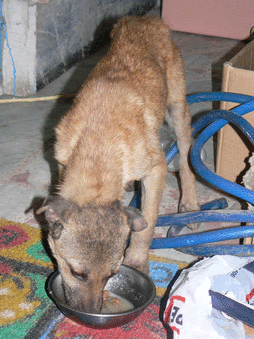 [snipshot_d41f744oqo4w.gif]