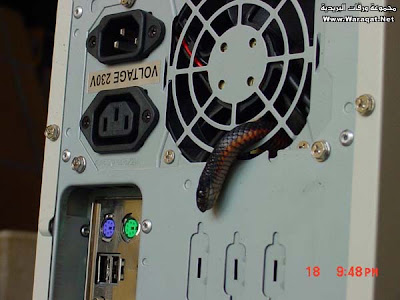 snake-CPU+%281%29.jpg