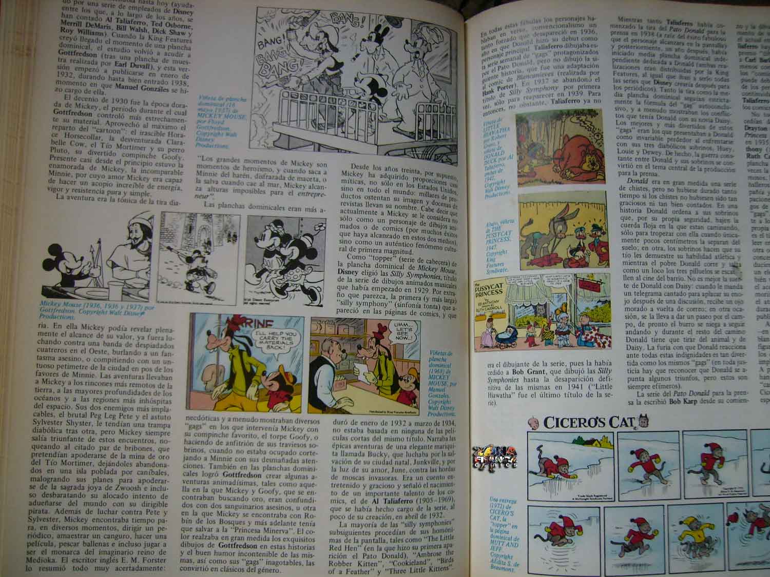 [lahistoriadecomi3.jpg2.jpg]