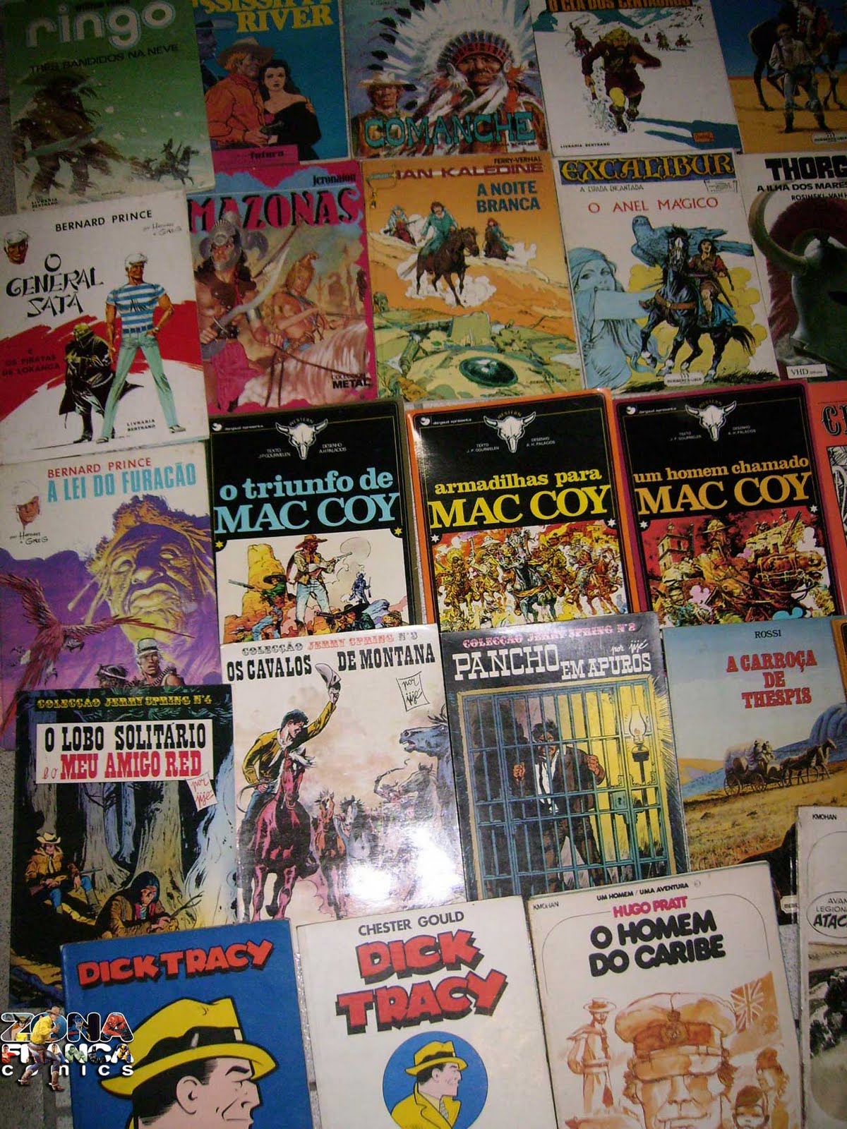 [albunseuropeus2.jpg]