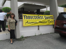Ambiente: Vistas  Publicas  en  Yabucoa