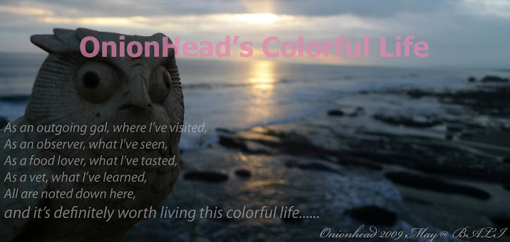 OnionHead's Colorful Life