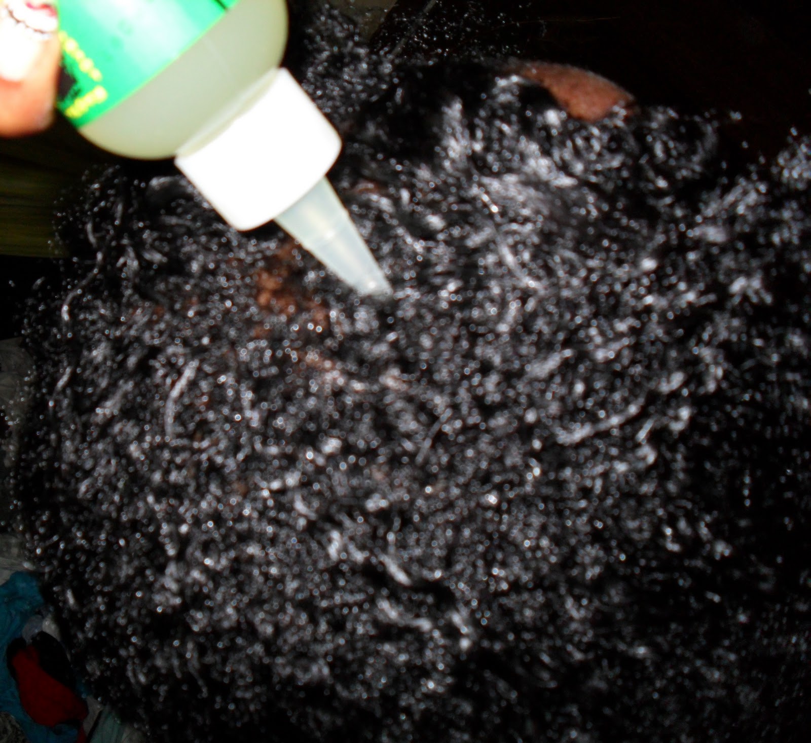 Combien De Fois Il Faut Arroser Un Cactus Mango & Lime Cactus Oil Serum Review | NEFERTARI'S BUBBLE BLOG