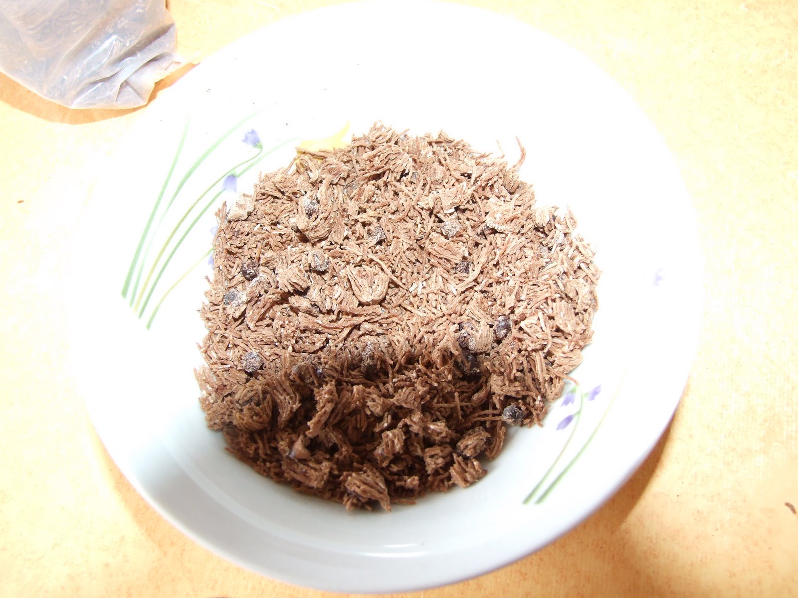 [graham+foster+12-2-09+015.jpg]