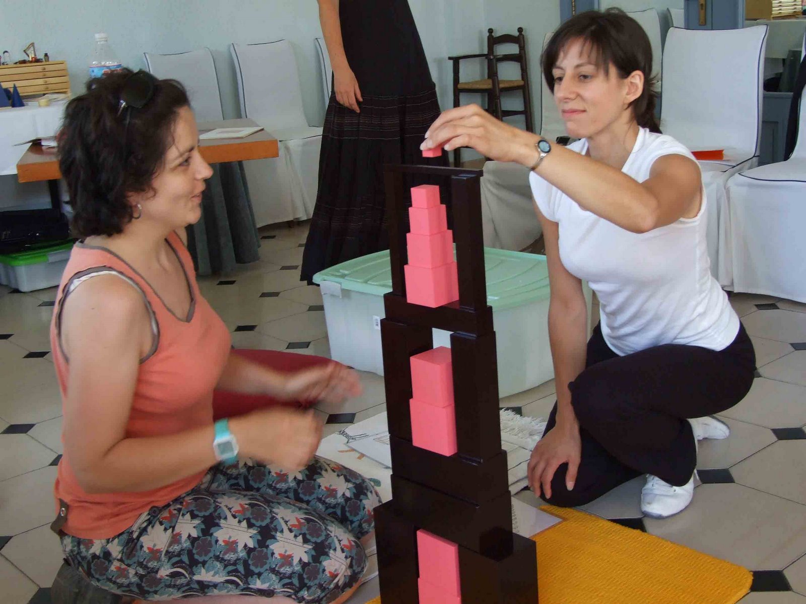 [torre-rosa-red1.jpg]