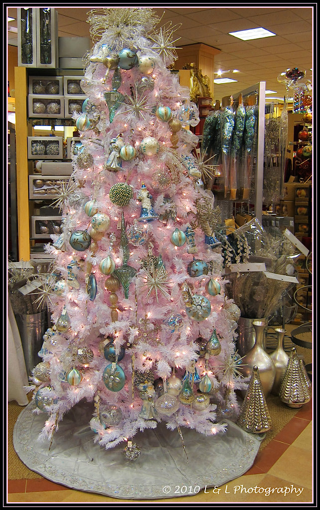 Ocala, Central Florida & Beyond More Ocala Christmas Trees beginning