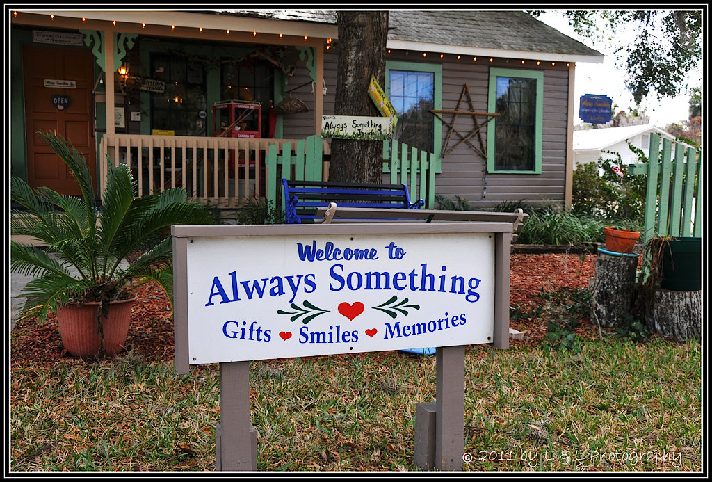 Florida Fotos Always Something Dunnellon, Florida