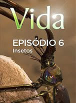 Vida - Episódio 6: Insetos - DVDRip Legendado