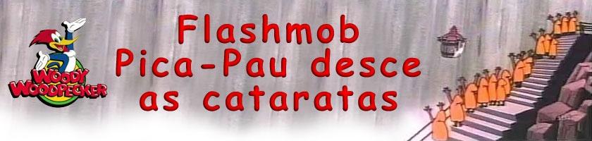 Flash Mob Pica-Pau desce as cataratas