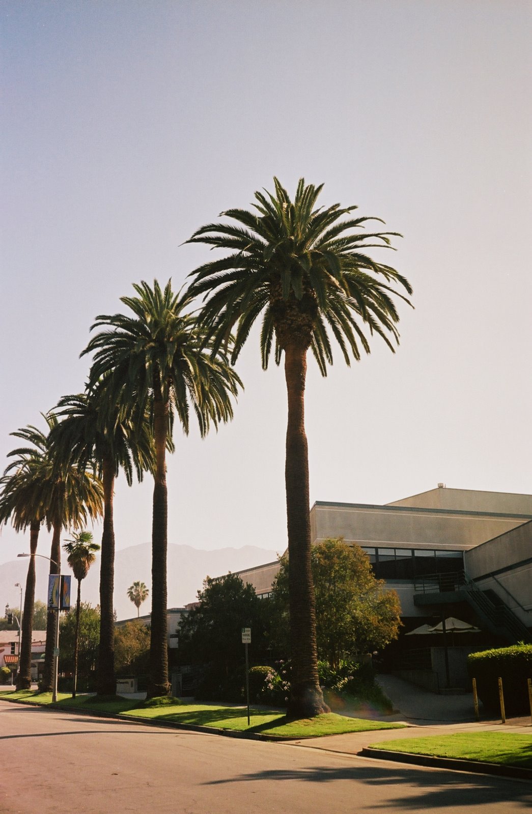 [ca0081453_0081453-R1-015-6.jpg]