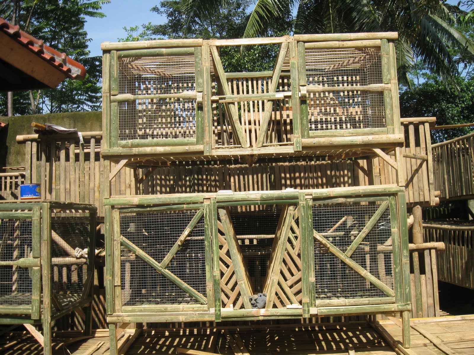 PETERNAKAN KELINCI JAYA RABBIT: Kandang Kelinci ( foto )