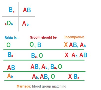 Science & Vedic Wisdom: Marriage: match BLOOD GROUP