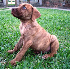Vendido