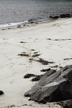 Old Lyme beach front