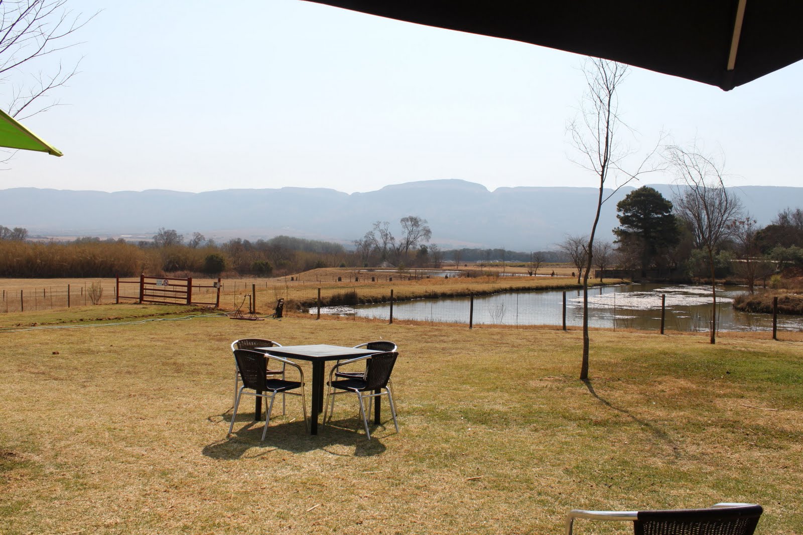 juggling act of life: Van Gaalen Cheese farm