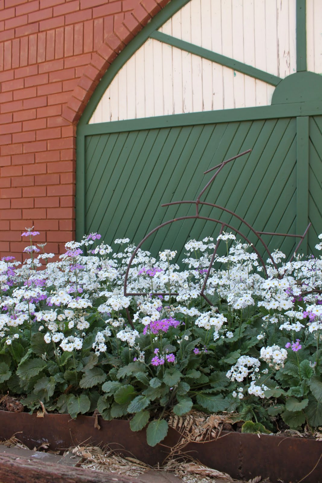 juggling act of life: Van Gaalen Cheese farm