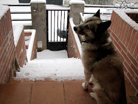 Hunito y la nieve