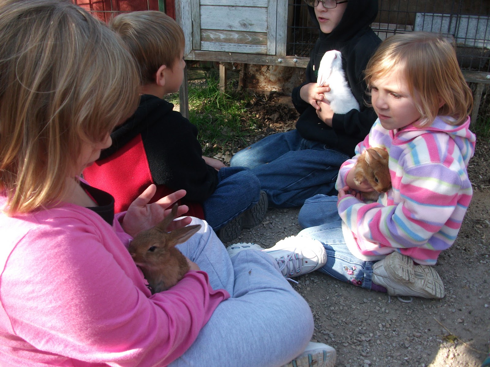 Delaware County Homeschoolers Fun at the Cricket Hollow Zoo