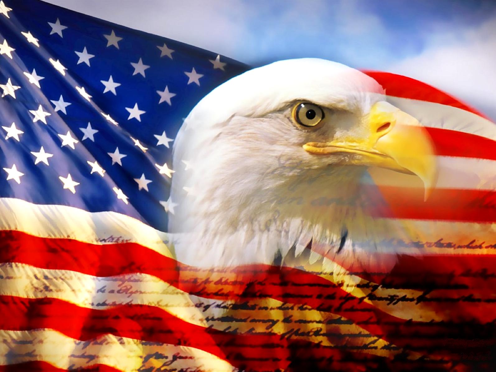[Image: bald_eagle_head_and_american_flag1.jpg]