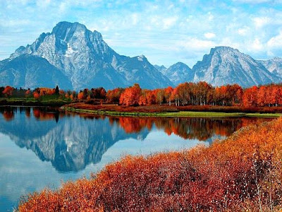 BLOG DO BORJÃO: IMAGEM DO DIA