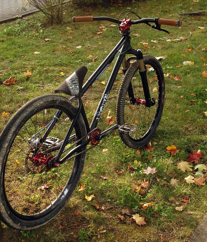 dartmoor cody frame