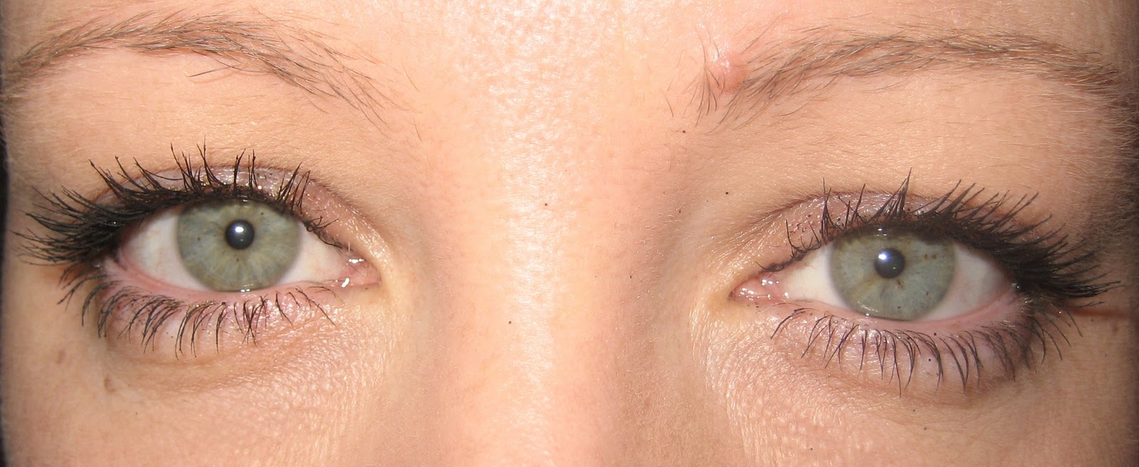 Mascara Comparison: Rimmel Lash Accelerator vs Collection 2000 Big Fake