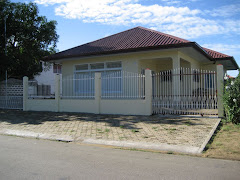 Mijn huis in Suriname
