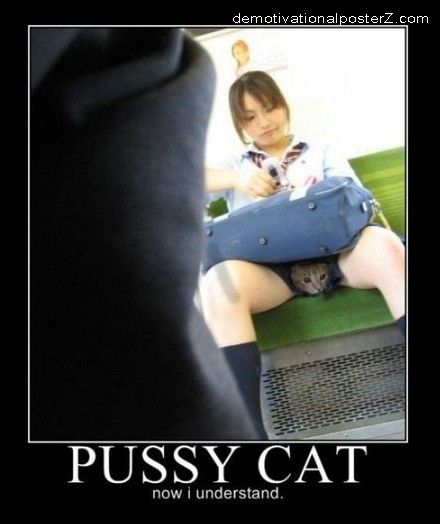 Funny Pussy Cat 21