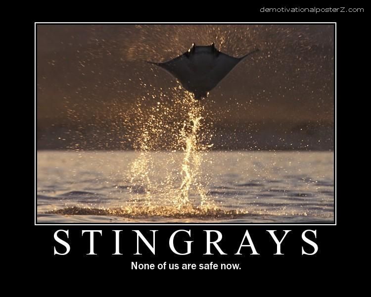 Stingrays - none of us are safe now