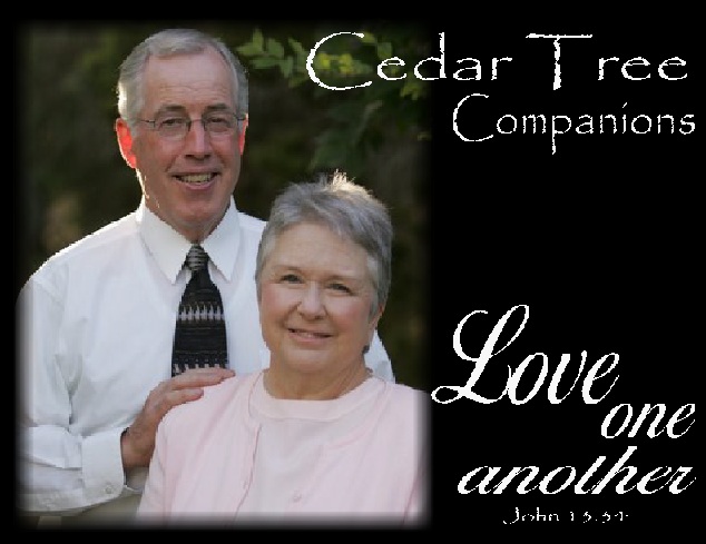 Cedar Tree Companions