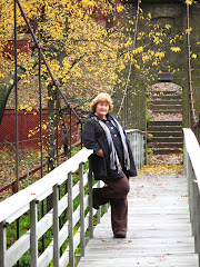 Suspension Bridge Lake Bracken, Illinois