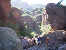 Steinbeck Canyon, near Puerto Escondido  11/2009