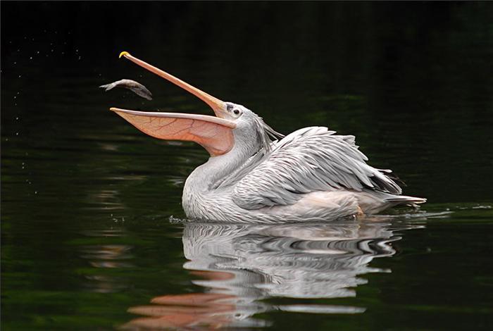 [knuttz_ueba_12.jpg]