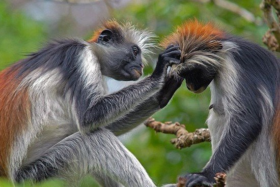 [funny-pics-22259.jpg]