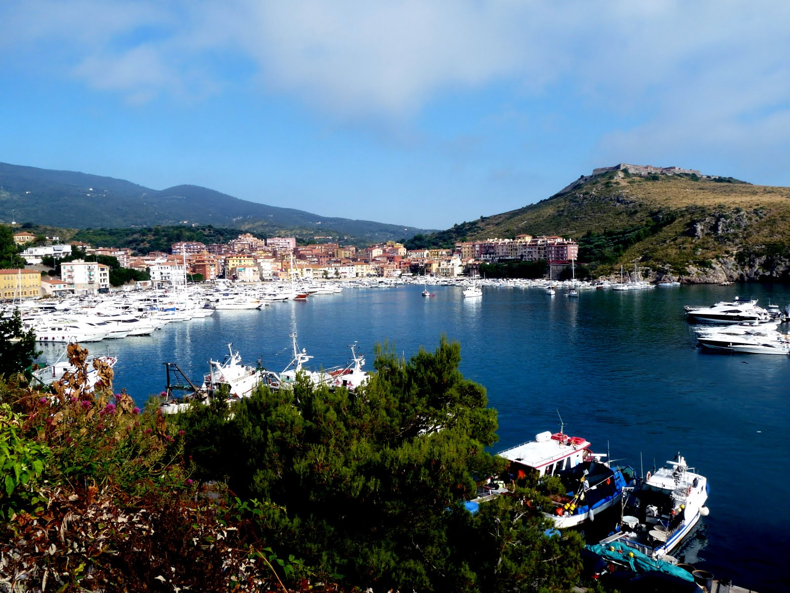 [P1090051black+and+blue.jpg]