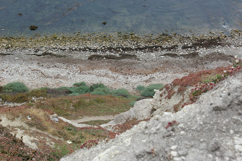 Nick Jr Chinese New Year Coloring Pages | Coloring Pages For Free